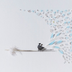 Illustration for article titled Delicate Images of Birds Painstakingly Clipped from Real Feathers